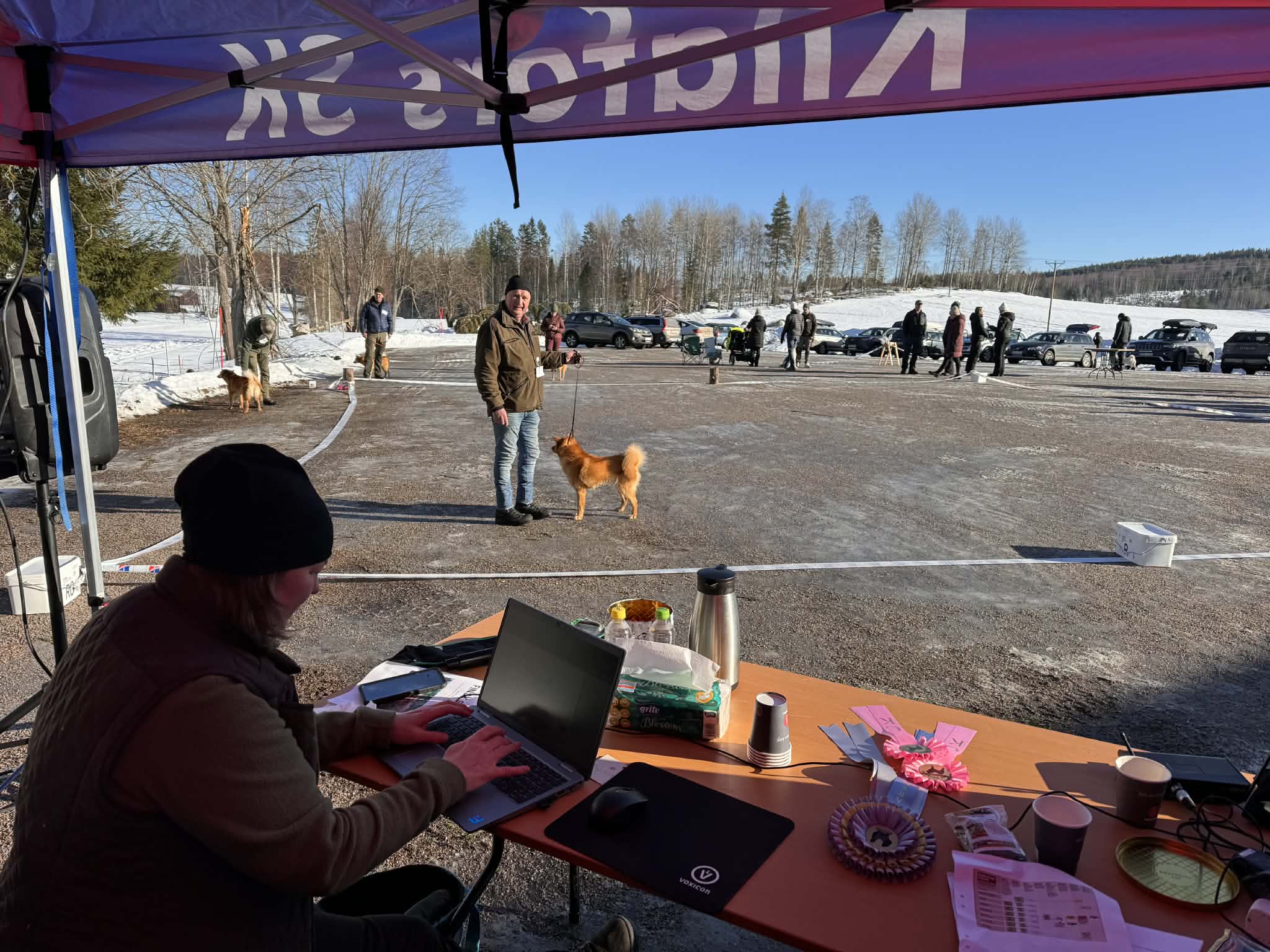 Petra lägger in kretik i Dogshow 